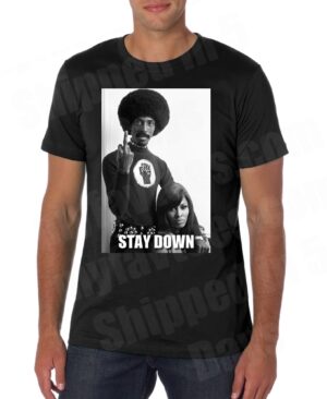Stay Down Like Ike and Tina Turner T Shirt